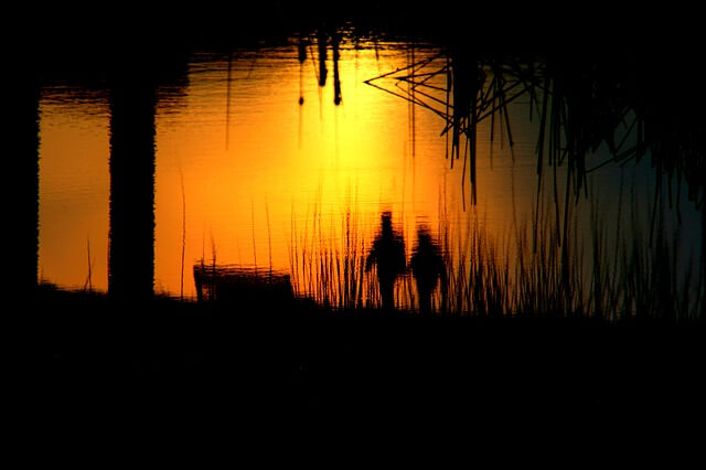 water reflection of a couple holding hands.